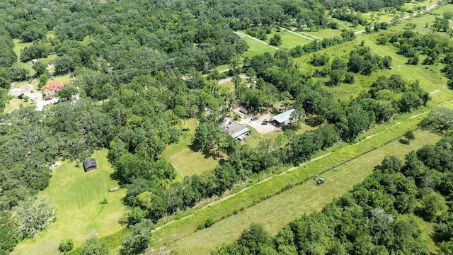 6203 Wickwillow Ln, Alvin, TX 77511 - view of property location featuring a forest
