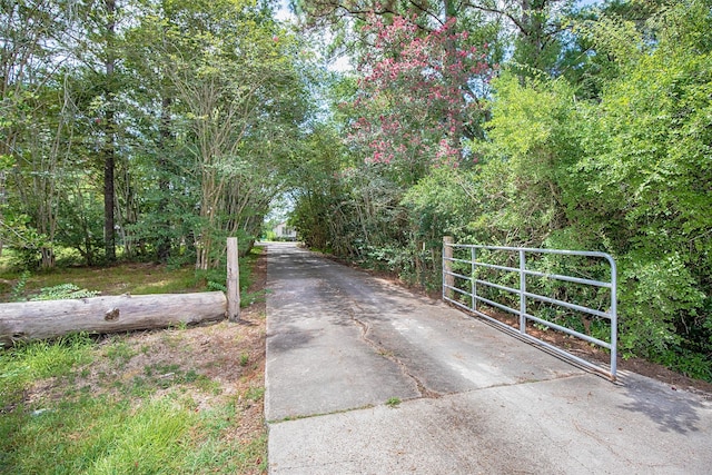 6203 Wickwillow Ln, Alvin, TX 77511 - view of street featuring a gate