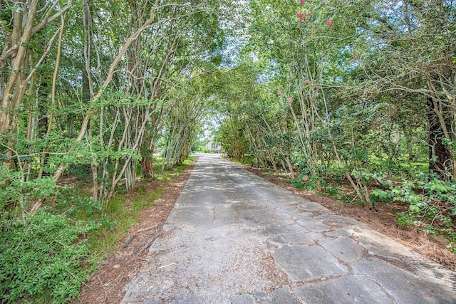 6203 Wickwillow Ln, Alvin, TX 77511 - view of road