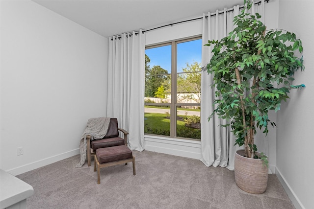 108 Stephens Ridge Ln, Montgomery, TX 77316 - photo 30