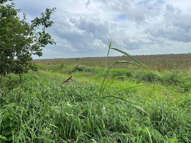 00 Beal Rd, Eagle Lake, TX 77434