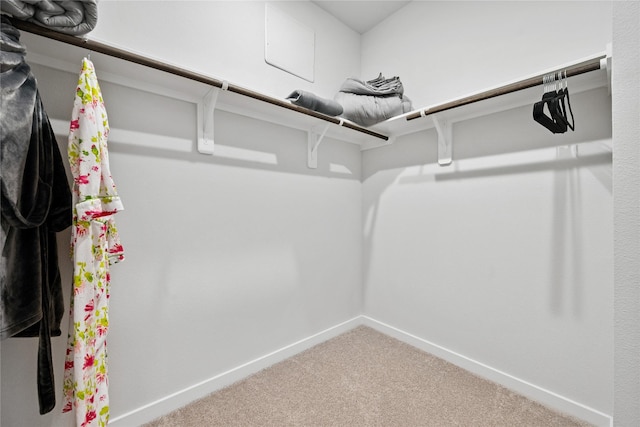 16934 Needlepoint Dr, Conroe, TX 77302 - walk in closet with carpet