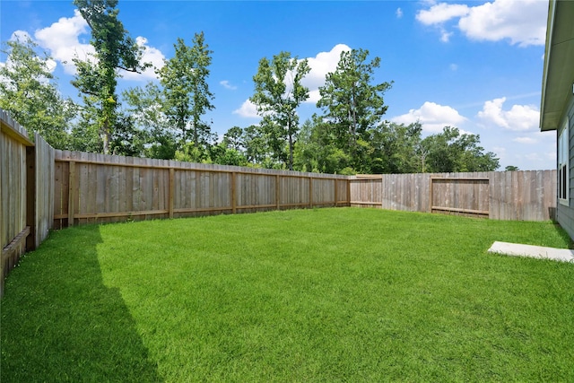 16934 Needlepoint Dr, Conroe, TX 77302 - view of fenced backyard