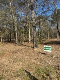 7705 Timber Switch Rd, Cleveland, TX 77328