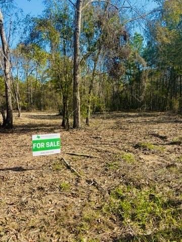 7741 Timber Switch Rd, Cleveland, TX 77328