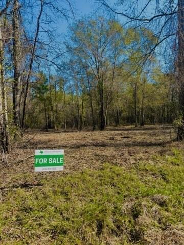 7777 Timber Switch Rd, Cleveland, TX 77328