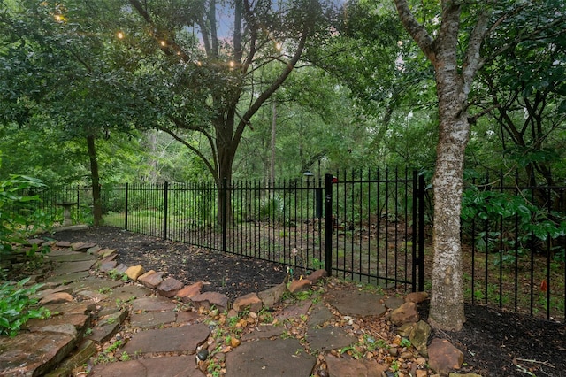 11603 Orchard Mountain Dr, Houston, TX 77059 - view of gate