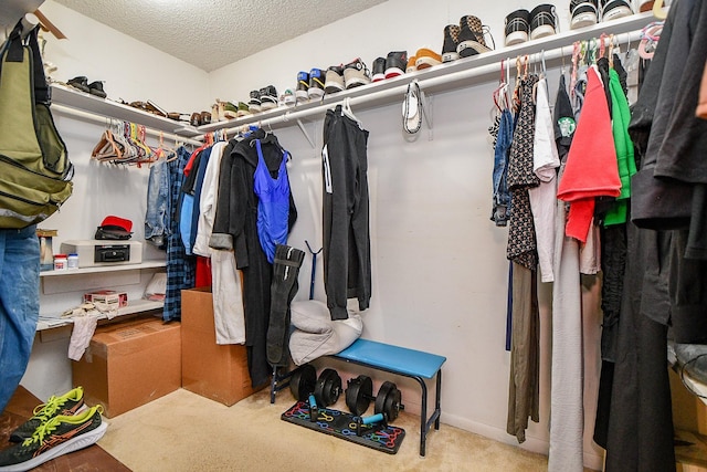 17010 Kings Walk Ln, Houston, TX 77070 - spacious closet featuring carpet flooring