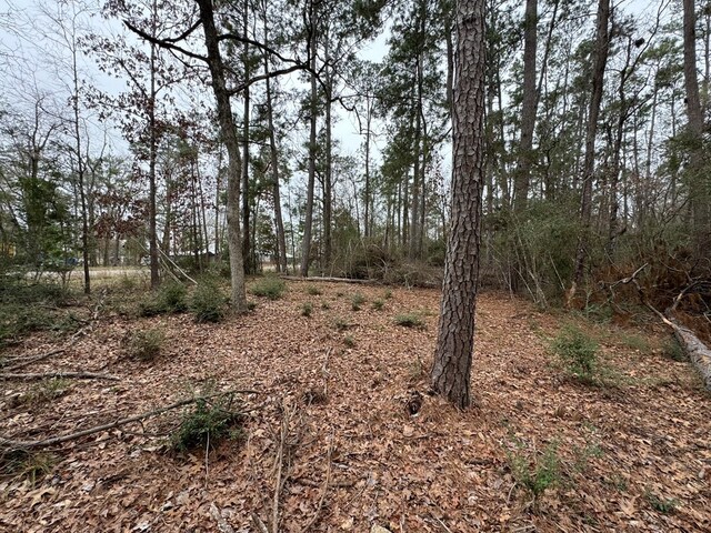 TBD County Rd, Goodrich, TX 77335