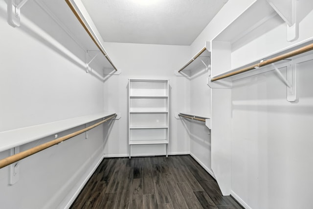 20907 Divellec Ln, Spring, TX 77388 - walk in closet featuring dark wood finished floors