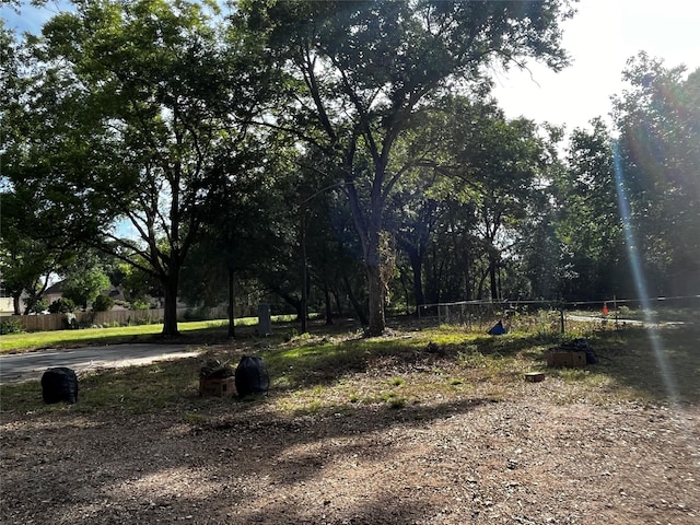 10005 Cypress N Houston Rd, Houston, TX 77070 - view of yard