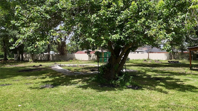 10005 Cypress N Houston Rd, Houston, TX 77070 - view of yard