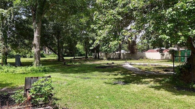 10005 Cypress N Houston Rd, Houston, TX 77070 - view of yard