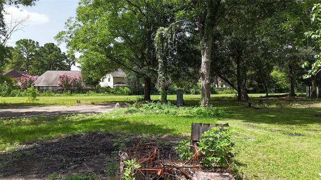 10005 Cypress N Houston Rd, Houston, TX 77070 - view of grassy yard