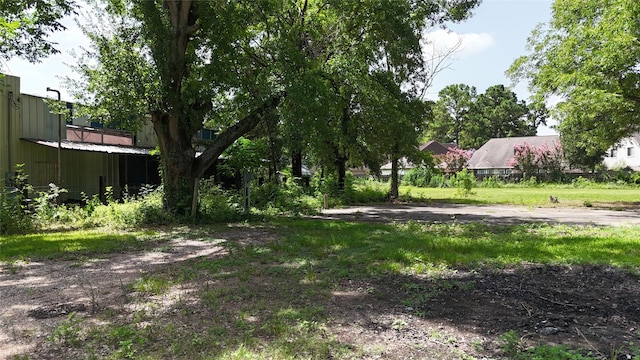 10005 Cypress N Houston Rd, Houston, TX 77070 - view of yard