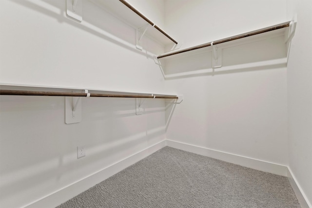 10406 Grove Row Ave, Richmond, TX 77407 - spacious closet featuring carpet flooring