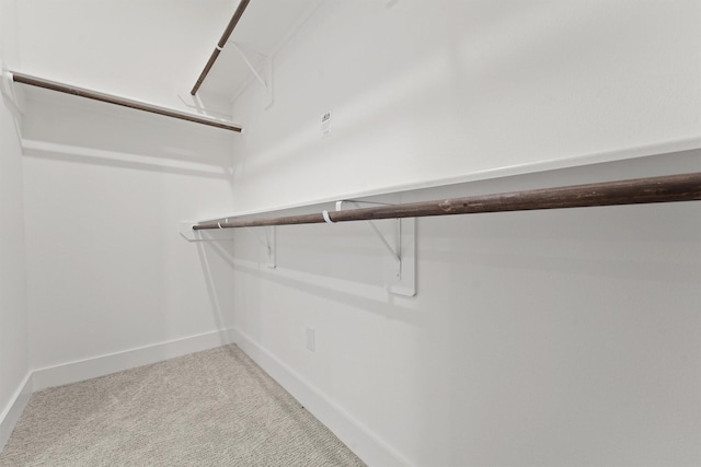 10406 Grove Row Ave, Richmond, TX 77407 - walk in closet with light carpet