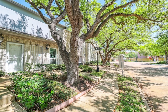 7264 Regency Square Ct, Houston, TX 77036 - view of yard