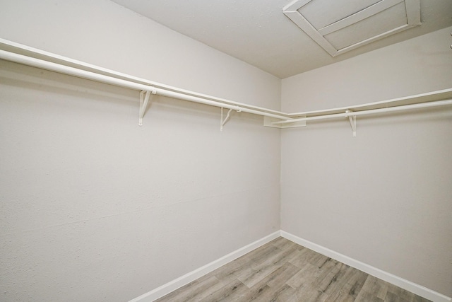9707 Richmond Ave Unit 3, Houston, TX 77042 - walk in closet with light wood-type flooring and attic access