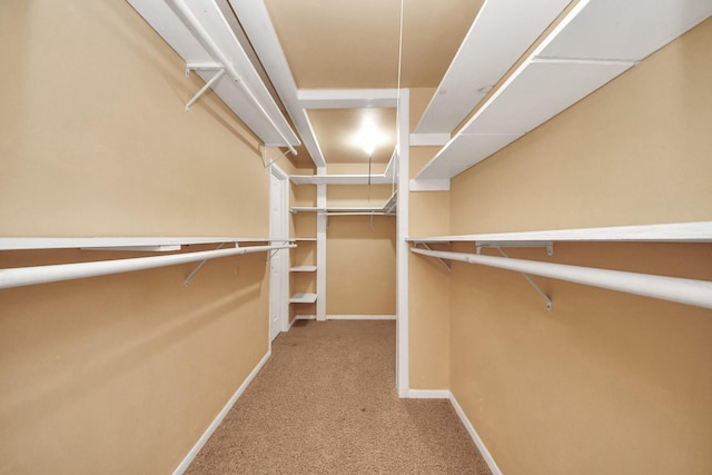 3938 Danpree St, Pasadena, TX 77504 - walk in closet featuring carpet flooring