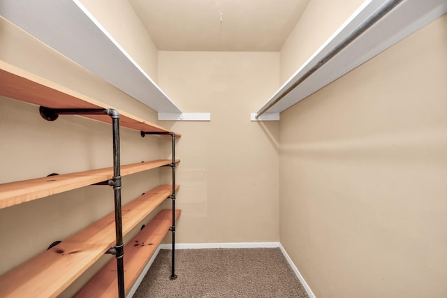 3938 Danpree St, Pasadena, TX 77504 - spacious closet featuring carpet
