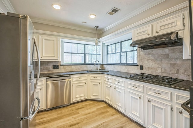 18318 Widcombe Dr, Houston, TX 77084 - kitchen featuring appliances with stainless steel finishes, healthy amount of natural light, under cabinet range hood, light wood-style flooring, and crown molding