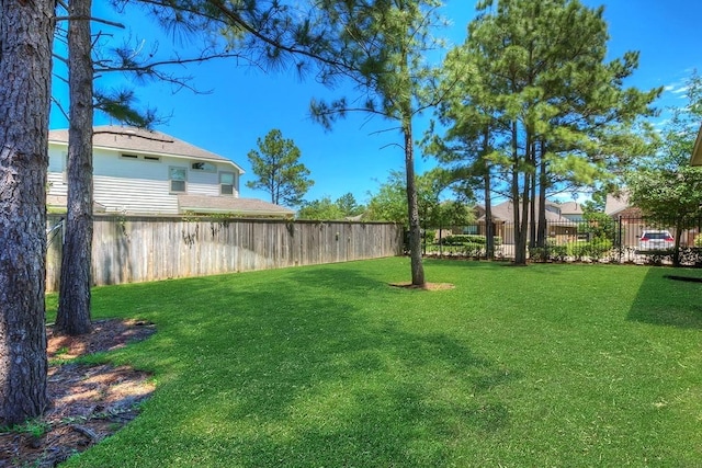239 New Harmony Trl, Spring, TX 77389 - photo 29