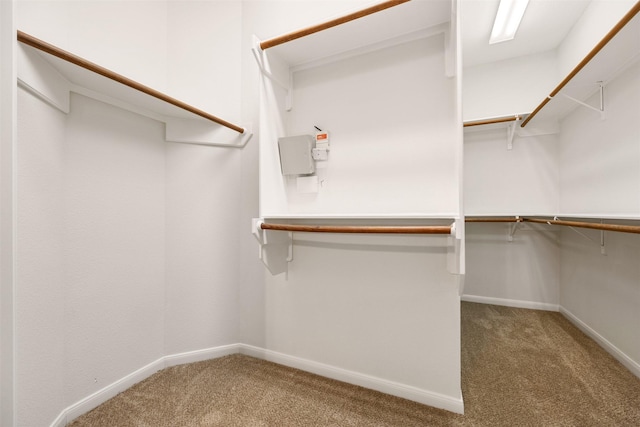 107 N Sunny Slope Cir, The Woodlands, TX 77381 - spacious closet with carpet floors