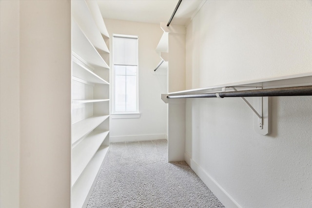 4155 Griggs Rd, Houston, TX 77021 - spacious closet featuring carpet flooring