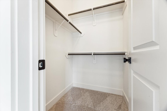 4155 Griggs Rd, Houston, TX 77021 - walk in closet with carpet floors