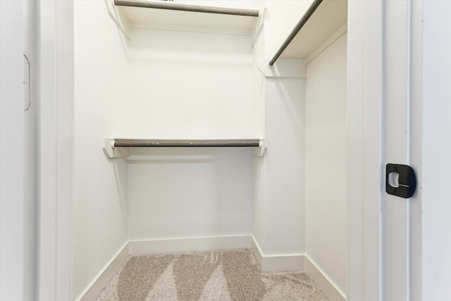 4155 Griggs Rd, Houston, TX 77021 - walk in closet with carpet floors
