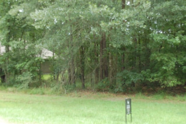 25 Firewood Rd, Huntsville, TX 77340 - photo 3