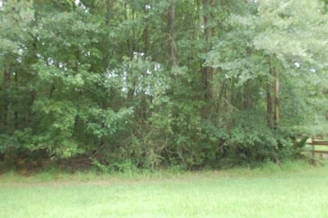25 Firewood Rd, Huntsville, TX 77340 - photo 2