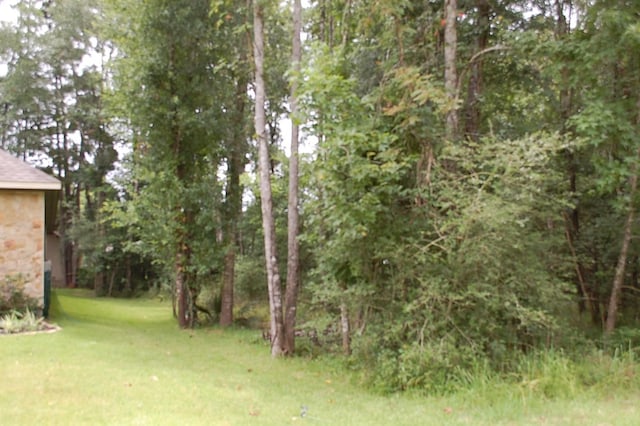 25 Firewood Rd, Huntsville, TX 77340 - photo 5