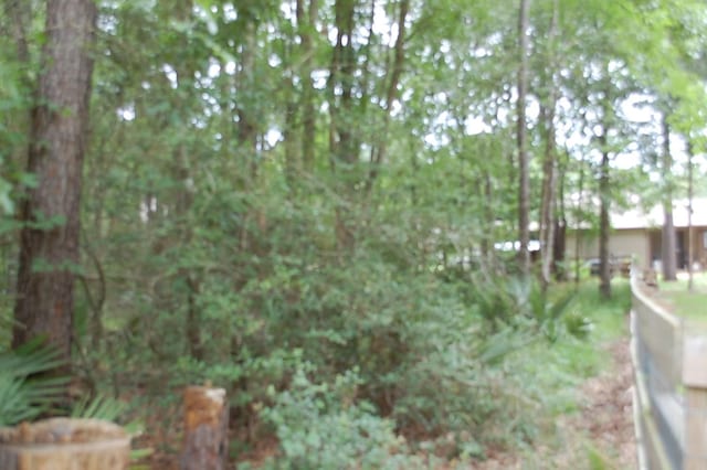 25 Firewood Rd, Huntsville, TX 77340 - photo 6