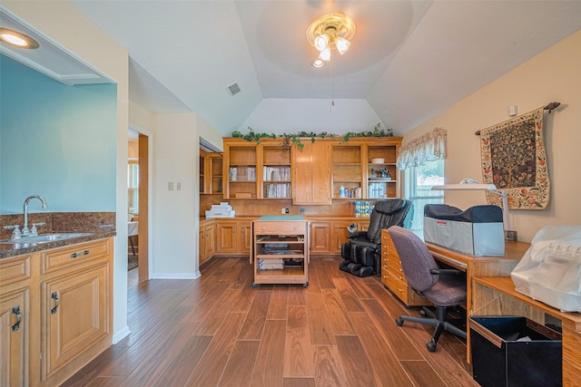 15435 Rio Plaza Dr, Houston, TX 77083 - home office featuring wood finished floors, lofted ceiling, and a ceiling fan