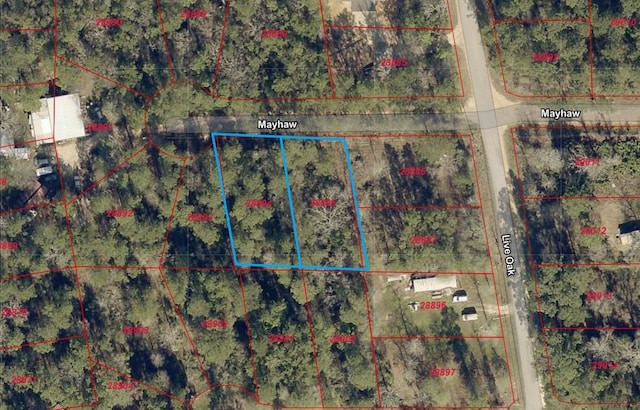 0 Mayhaw Ln, Plantersville, TX 77363 - photo 3