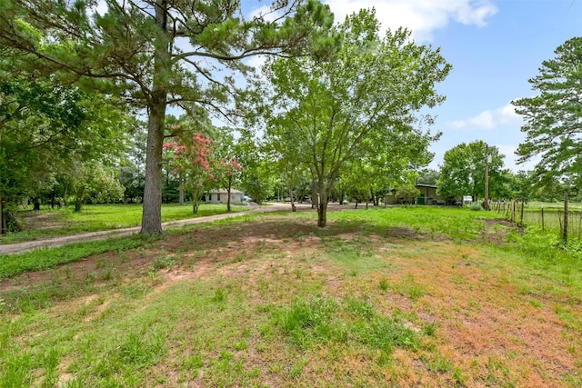 19757 Dorris Dr, Magnolia, TX 77355 - view of yard