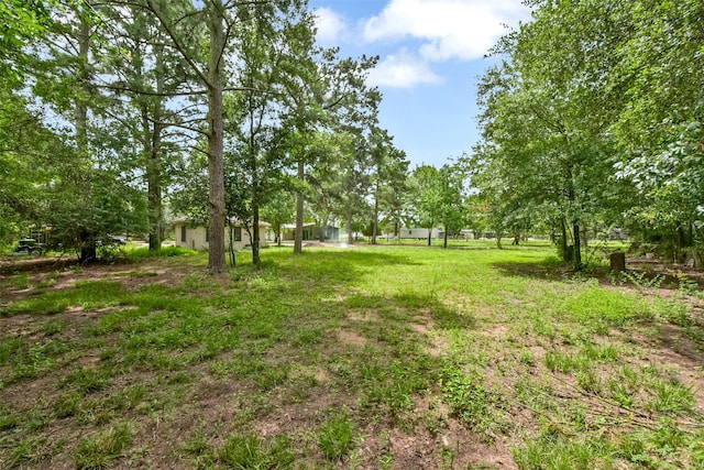 19757 Dorris Dr, Magnolia, TX 77355 - view of yard