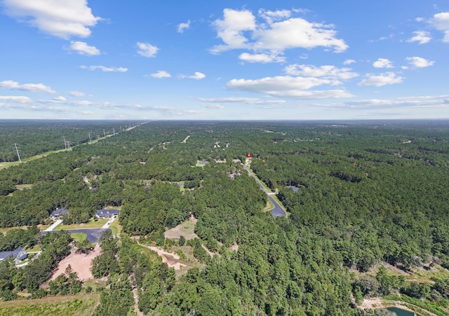 17501 Julianne Dr, Waller, TX 77484 - photo 50