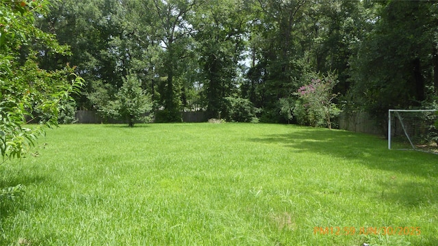 22869 Mersey Ct, Porter, TX 77365 - photo 22