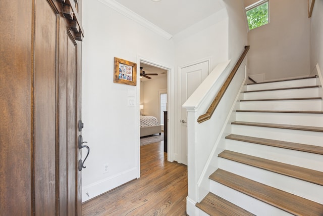 1010 W 24th St Unit N, Houston, TX 77008 - foyer featuring wood finished floors, crown molding, stairway, and ceiling fan