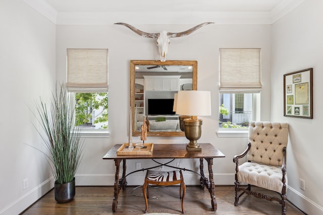 1010 W 24th St Unit N, Houston, TX 77008 - office area featuring plenty of natural light, crown molding, and wood finished floors