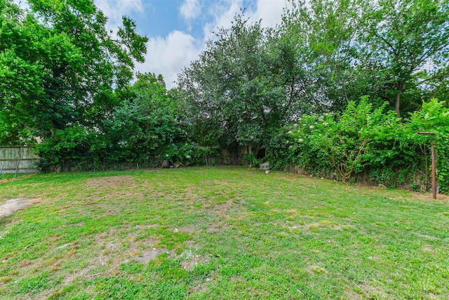 3108 Memel St, Houston, TX 77026 - view of yard