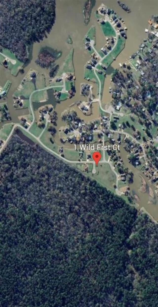 1 Wild Forest Ct, Huntsville, TX 77340 - photo 2