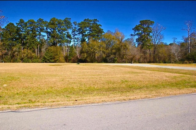 1 Wild Forest Ct, Huntsville, TX 77340 - photo 3
