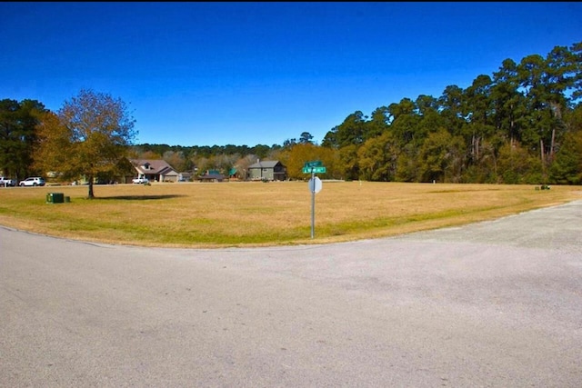 1 Wild Forest Ct, Huntsville, TX 77340 - photo 4