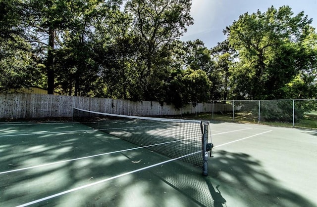 1 Wild Forest Ct, Huntsville, TX 77340 - photo 10