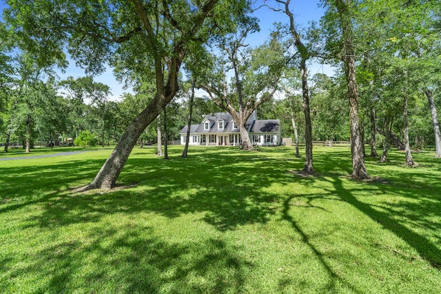 13502 E Brazos Bend Dr, Needville, TX 77461 - photo 6