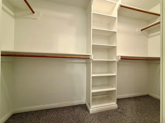 1140 Thomas Dr, Angleton, TX 77515 - spacious closet with carpet flooring